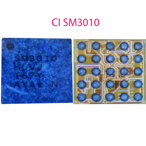 SM3010 Ci