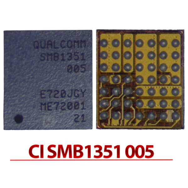CI SMB1351 005